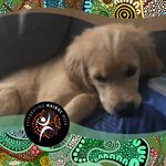 Shane Healey - @capt.muddy - Instagram