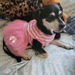 Shanell Herrick - Facebook