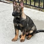 Shane Hester - @shane_hester1 - Instagram