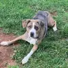 shanehester179 - @shanehester179 - TikTok