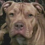 Shane Hiller - @sdh850 - Instagram