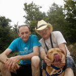 shane hiller - @nowatimean - Instagram
