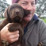 Shane Hines - Facebook