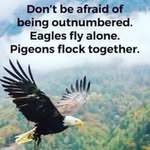 Shane hoffman - @shanehoffman576 - Instagram