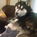 Shane Holder - @bigshaneholder - Instagram