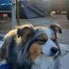 Shane Holder - @haneolder.13 - TikTok