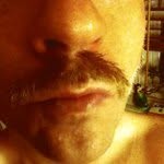 @shanehollinger - Instagram