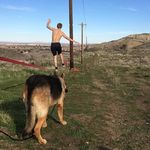 Shane Hood - @shanenanigans65 - Instagram