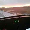 shanehood980 - @shanehood980 - TikTok