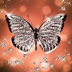 Shane Hopper - Facebook