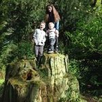 Shane Huntley - @huntley.shane - Instagram