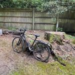 Shane Huntley - @shuntley66 - Instagram