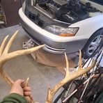 Shane Huntley - Facebook