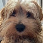 Shane Hutchison - @shanehutchison1969 - Instagram