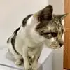 Shane Hutchison - @shane.hutchison7 - TikTok