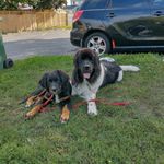 Shane Ingram - @the.shane.ingram - Instagram