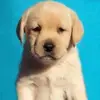 shanejefferyryland - @shanejefferyrylan - TikTok