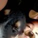 Shane Jimenez - Facebook