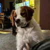 Shane Jordan - @shane_jordan02 - TikTok