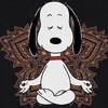 shane_judd - @shane_judd - TikTok