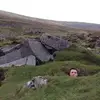 Shane Kearney539 - @shanekearney6 - TikTok