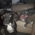 Shane Kehl - @2008hsvlsa - Instagram