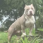 Shane Kern - Facebook