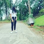 Shane Kim - @shanekim10 - Instagram