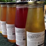 shane Kirkland - @captainkombucha - Instagram
