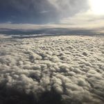 Shane Kirkpatrick - @kirkpatrick_shane - Instagram