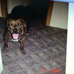 Shane Kiser - @kisershane - Instagram