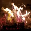 shanelkiser - @shanelkiser - TikTok