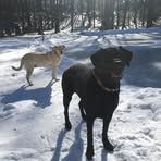 Shane Kitzmiller - Facebook