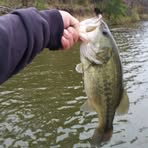 Shane Kleinert - Facebook