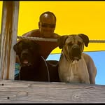 Shane Kruger - @shane743065 - Instagram