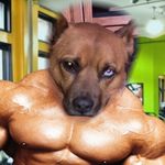 Shane Kuntz - @__shane_k - Instagram
