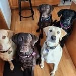 Shane Landry - @tket28 - Instagram