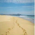 Shane Langston - @langston.shane - Instagram