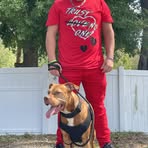 Shane Large - Facebook