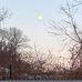 Shane Larkin - Facebook
