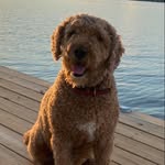 Shane Leis - @shanerater - Instagram
