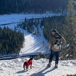 Shane Levesque - @shane_onthetools - Instagram