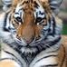 Shane Lindley - Facebook