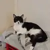 Shane Lindley - @shane.lindley1 - TikTok