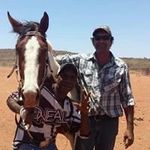 Shane Lindner - @lindnershane - Instagram