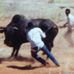 Shane Lindner - Facebook
