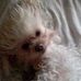 Shane Lizama - Facebook