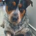 Shayne Locke - Facebook