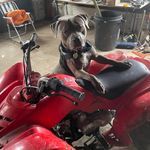 Shane Love - @shane.love.94801116 - Instagram