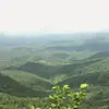 shanelowery85 - @shanelowery85 - TikTok